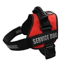 Albcorp service dog for sale  USA