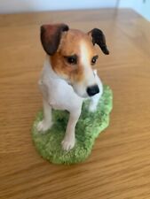 russell terrier for sale  UK