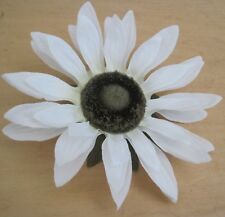 Large white sunflower for sale  Chandler