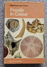 Fossils colour blandford for sale  YEOVIL