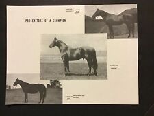 Seabiscuit horse racing for sale  Hometown