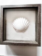 Framed seashell starfish for sale  Doylestown
