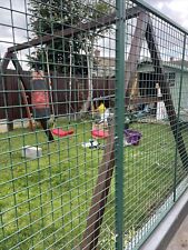 Galvanised steel kennel for sale  DARTFORD