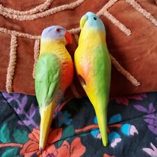 pair budgies for sale  TRURO