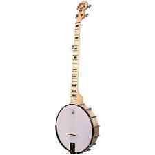 deering 6 string banjo for sale  Kings Mountain