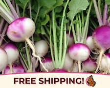 3500 turnip seeds for sale  Davisburg