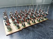 Painted warlord game for sale  CLEETHORPES