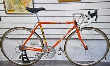 Raleigh team replica for sale  UK