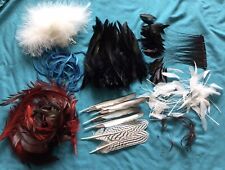 hat feathers for sale  LITTLEBOROUGH