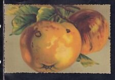 Cartolina frutta mele usato  Italia