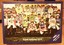 Grand national 2014 for sale  BRAINTREE