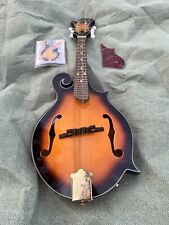 Electro acoustic mandolin for sale  YELVERTON