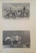 Antique print race for sale  Shipping to Ireland