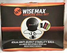 Wisemax exercise ball for sale  Jackson