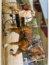 draft horse harness for sale  Lincoln