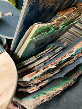 Juego de 4 cubiertas de patineta rotas para proyecto de arte hágalo usted mismo envío gratuito reciclaje de madera segunda mano  Embacar hacia Mexico