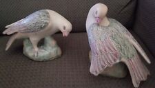 Pastel multicolored wings for sale  Peoria