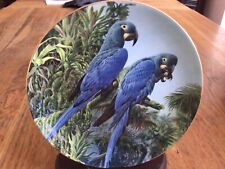 Macaw plate lears for sale  BALLYCLARE