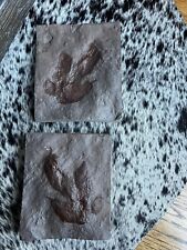Pair dinosaur foot for sale  Waxhaw
