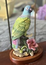 Blue headed parrot for sale  Semmes