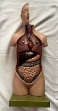 Somso Anatomical Model Torso 1/3 size Vintage 9 Parts German Anatomy Complete for sale  Shipping to South Africa