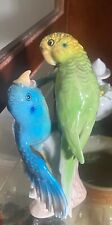 parakeets green blue for sale  Statesboro