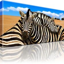 Zebra tiere dünnen gebraucht kaufen  Deutschland