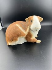 5 guinea pigs for sale  Gibson City