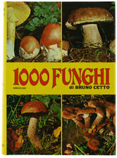 1000 funghi. cetto usato  Villarbasse