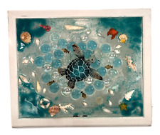 Sea turtle seashells for sale  South Lyon