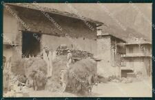 Aosta gressoney mulo usato  Gambolo