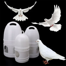 Pigeons feeder water for sale  Rowland Heights