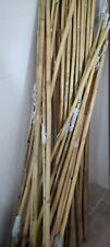 Canne bamboo gigante usato  Isernia