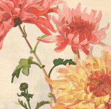 1900 lithographie chrysanthèm d'occasion  Besançon