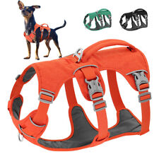 Pull dog harness for sale  Shipping to Ireland