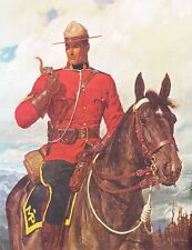 Canadian mountie horse for sale  Ahsahka