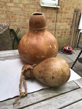 decorative gourds for sale  SOUTHAMPTON