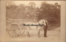 Cabinet card horse for sale  EVESHAM