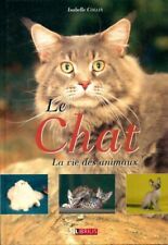 3919408 chat isabelle d'occasion  France