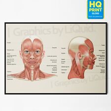 Human anatomy face for sale  LONDON