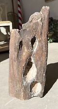 Large petrified wood for sale  Chino Valley