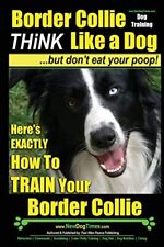 Border collie dog for sale  USA