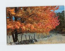 Postcard autumn glory for sale  Almond