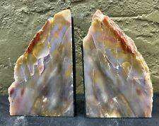 Exquisite petrified wood for sale  Wayne