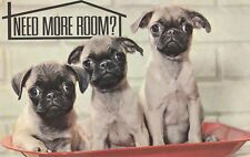 Postcard puppies...need room for sale  Richmond