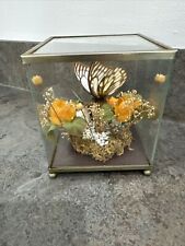 Beautiful vintage butterfly for sale  LIVERPOOL