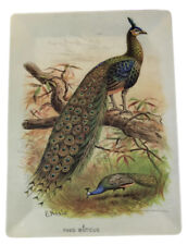 Pottery barn peacock for sale  Shipping to Ireland