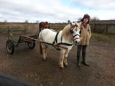 pony exercise cart for sale  WARWICK