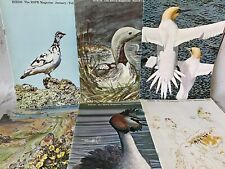 Rspb birds magazines for sale  STOWMARKET