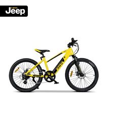 Jeep teen bike gebraucht kaufen  Weier,-Zunsweier